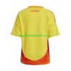 Maillot de Foot Colombie Domicile Copa America 2024